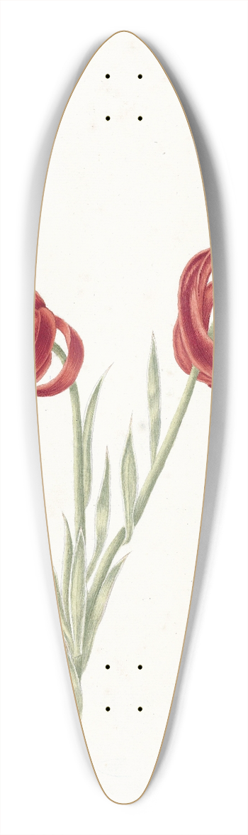 Catharina Lintheimer - Rode lelie 39.3 inch art pintail longboard deck