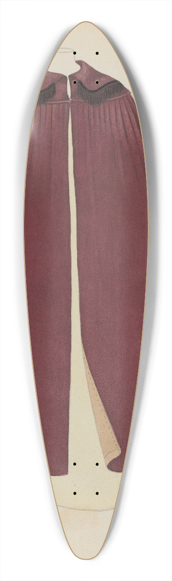 Catherine Fowler - Cape 39.3 inch art pintail longboard deck