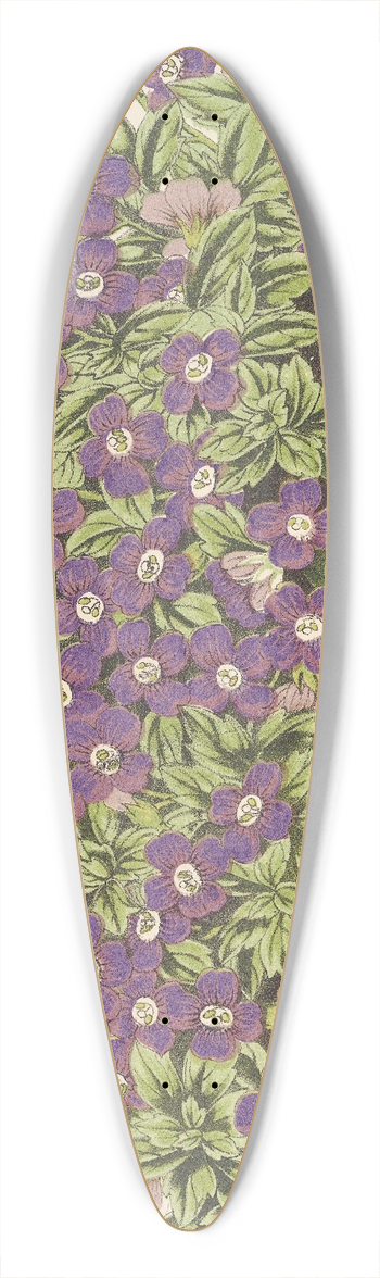 Charles Antoine Lemaire - Aubrietia Campbelli (var.) 39.3 inch art pintail longboard deck