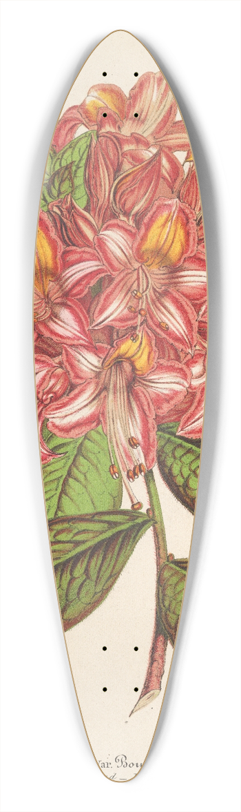 Charles Antoine Lemaire - Azala Bouquet de Flore Hort. Versch 39.3 inch art pintail longboard deck