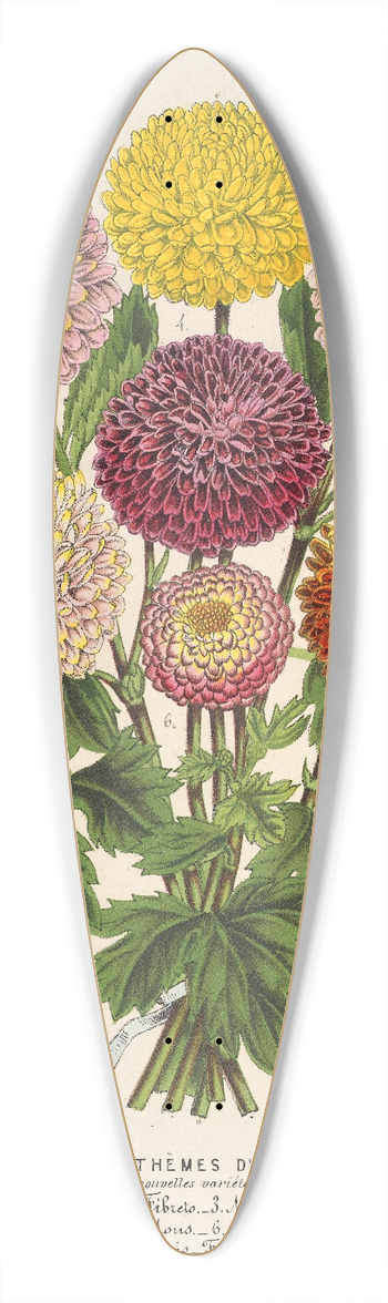 Charles Antoine Lemaire - Chrysanthmes nains dautomne 39.3 inch art pintail longboard deck