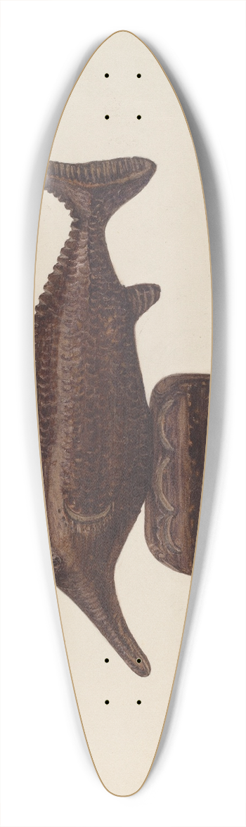 Charles Garjian - Toy Fish 39.3 inch art pintail longboard deck