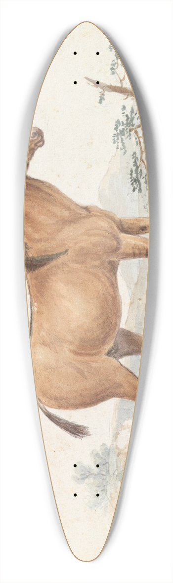 Charles Hamilton Smith - Asinus Hippagrus The Yo-To-Tze 39.3 inch art pintail longboard deck