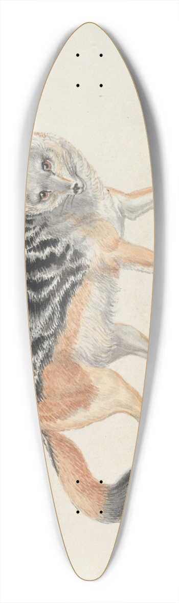 Charles Hamilton Smith - Black-backed Jackal 39.3 inch art pintail longboard deck