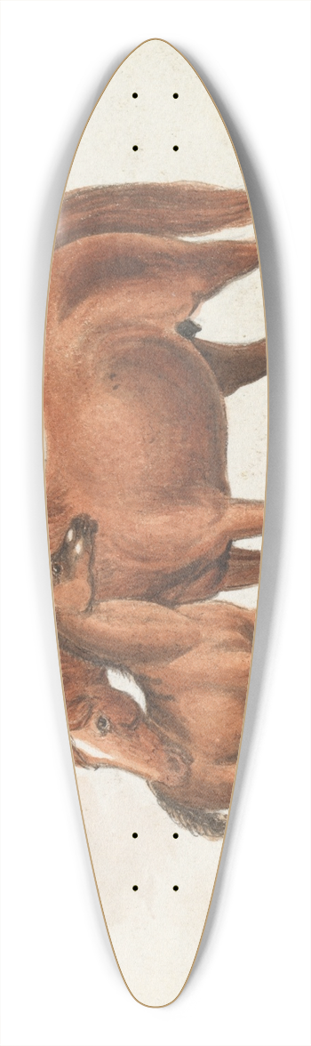 Charles Hamilton Smith - Brood Mare and Third Foal, with Marks of Quagga 39.3 inch art pintail longboard deck