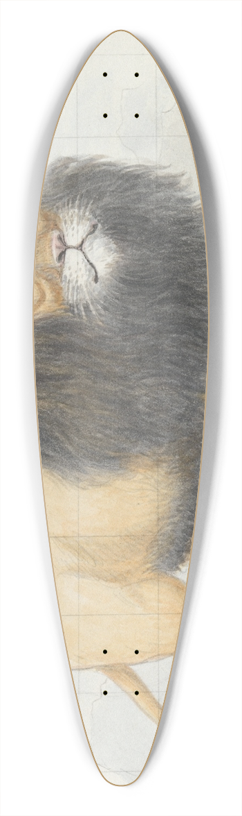 Charles Hamilton Smith - Cape Lion 39.3 inch art pintail longboard deck