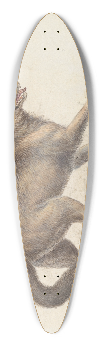 Charles Hamilton Smith - North American Prairie Wolf 39.3 inch art pintail longboard deck