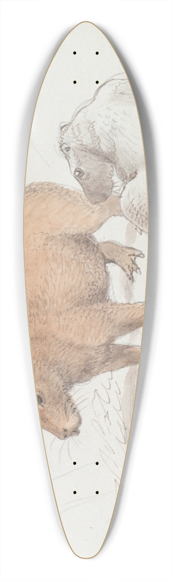 Charles Hamilton Smith - The Capybara 39.3 inch art pintail longboard deck