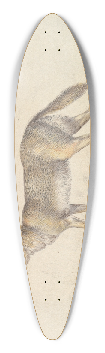 Charles Hamilton Smith - The Common Jackal 39.3 inch art pintail longboard deck