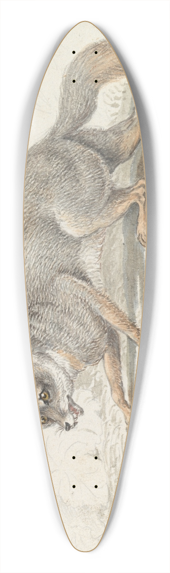 Charles Hamilton Smith - The Gray Fox 39.3 inch art pintail longboard deck