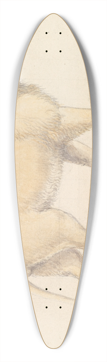 Charles Hamilton Smith - Tsavo Lion 39.3 inch art pintail longboard deck