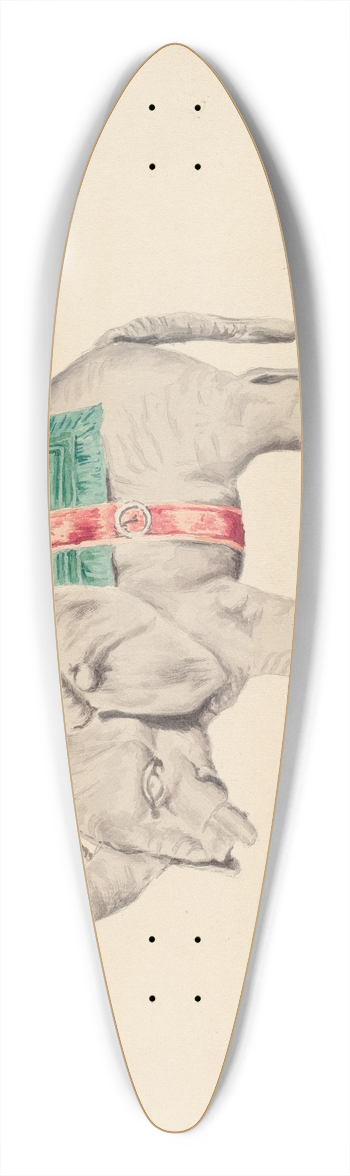 Charles Moss - Bank  Elephant 39.3 inch art pintail longboard deck