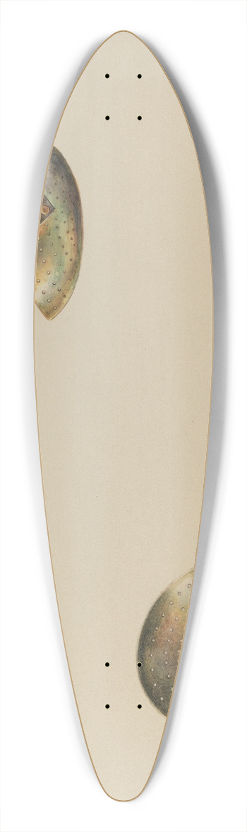 Charles Moss - Skimmer 39.3 inch art pintail longboard deck