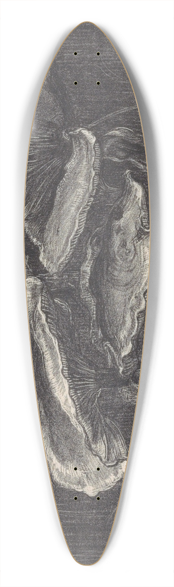 Chris Lebeau - Paddenstoelen 39.3 inch art pintail longboard deck