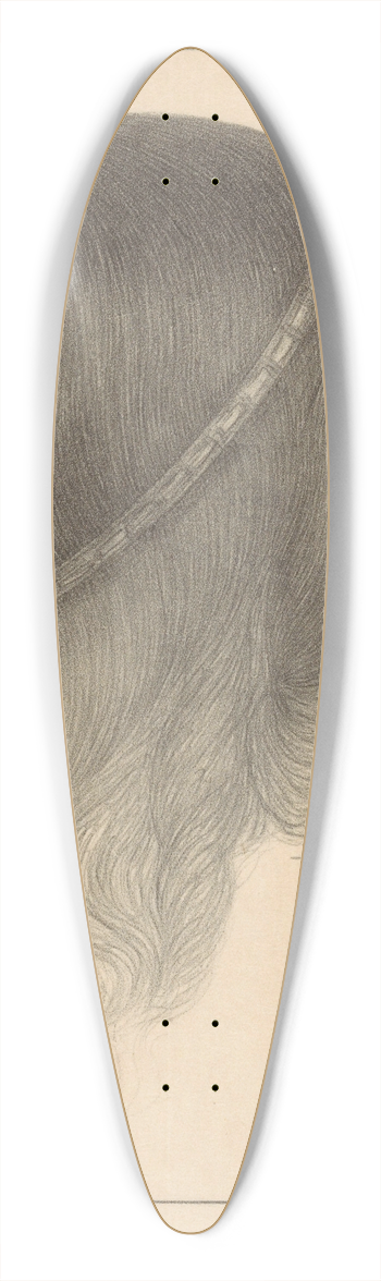 Chris Lebeau - Portret van Viola 39.3 inch art pintail longboard deck