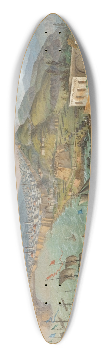 C L Hofmeister - Flotilla BeforeAlgiers 39.3 inch art pintail longboard deck