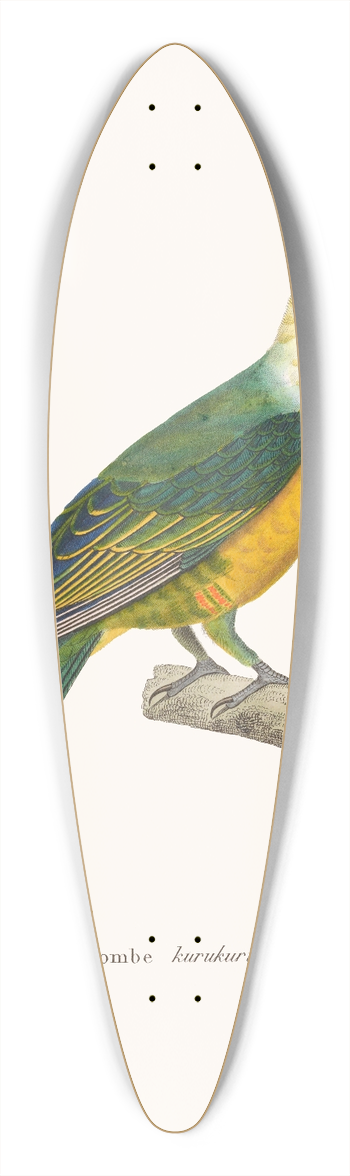 Coenraad Jacob Temminck - Colombe Kurukuru 39.3 inch art pintail longboard deck
