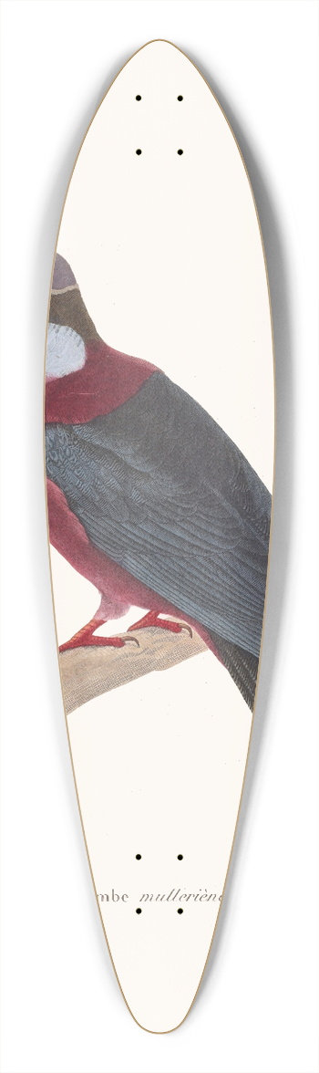 Coenraad Jacob Temminck - Colombe Mullerine. 39.3 inch art pintail longboard deck