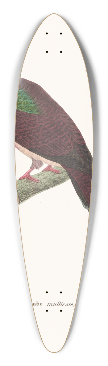 Coenraad Jacob Temminck - Colombe Multiraie. 39.3 inch art pintail longboard deck