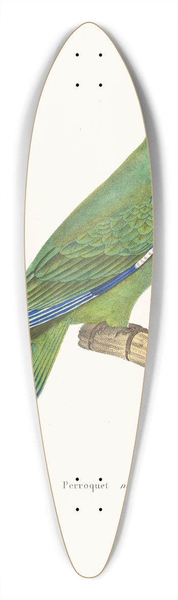 Coenraad Jacob Temminck - Perroquet Mitre 39.3 inch art pintail longboard deck