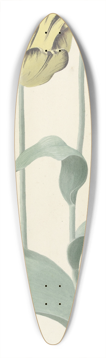 Cornelis van Noorde - De tulp Bizard Louis dEffroy 39.3 inch art pintail longboard deck