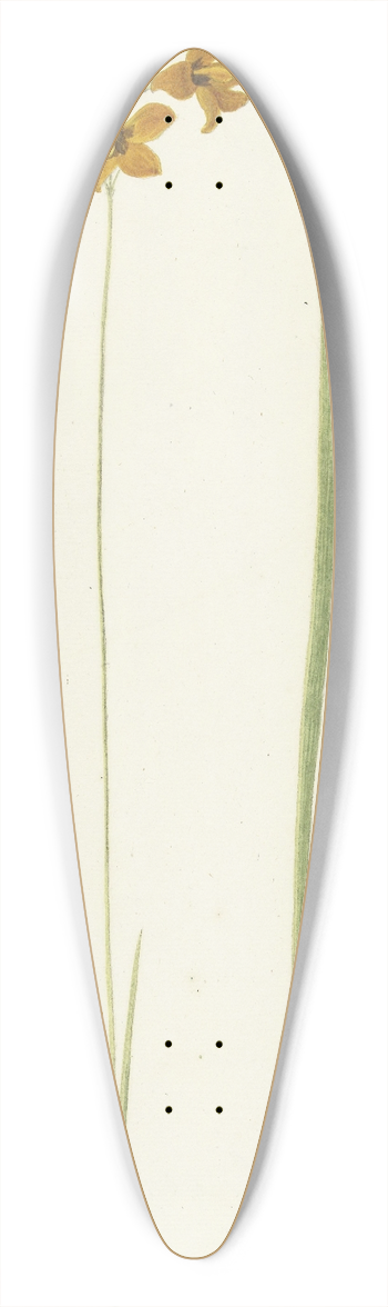 Cornelis van Noorde - Ixia 39.3 inch art pintail longboard deck