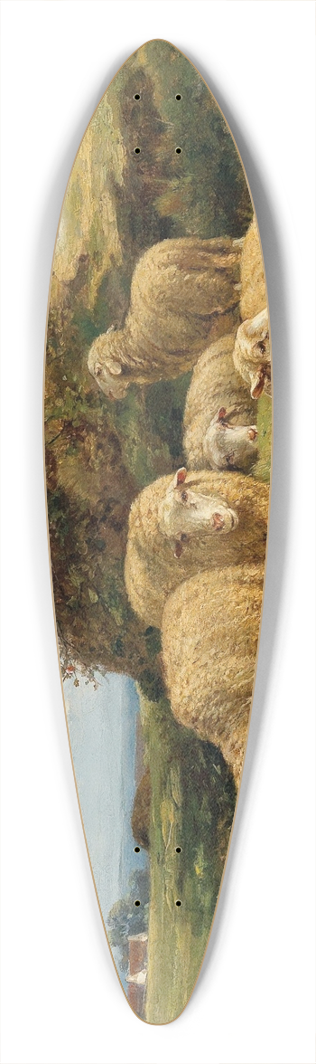 Cornelius van Leemputten - Sheep In A Meadow 39.3 inch art pintail longboard deck