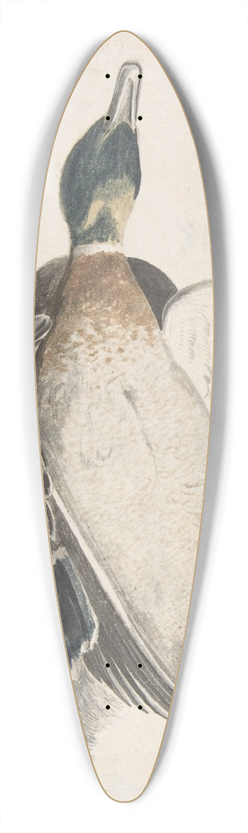 Count Giorgio Durante - Two Dead Ducks 39.3 inch art pintail longboard deck