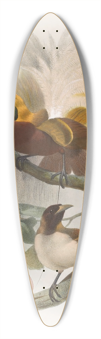 Daniel Giraud Elliot - Paradisea minor 39.3 inch art pintail longboard deck