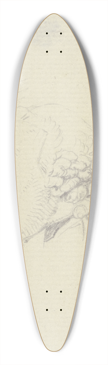 Daniel Nikolaus Chodowiecki - Kopf eines Mannes mit gelockter Percke im Profil nach links 39.3 inch art pintail longboard deck