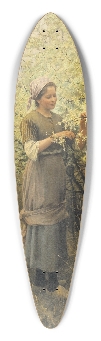 Daniel Ridgway Knight - Springtime 39.3 inch art pintail longboard deck