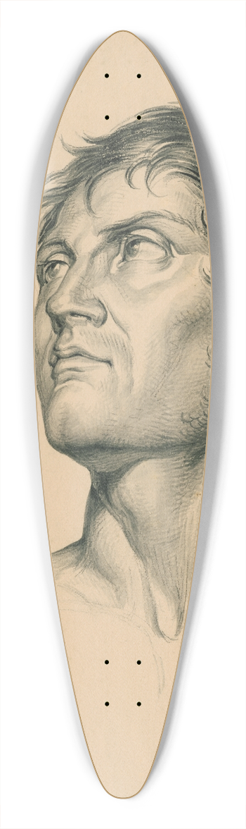 David Humbert de Superville - Mannenkop 39.3 inch art pintail longboard deck