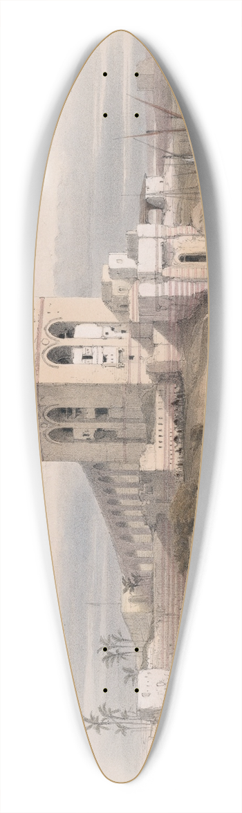 David Roberts - Cairo. 39.3 inch art pintail longboard deck