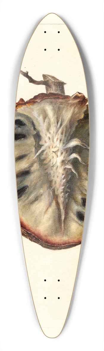 Deborah Griscom Passmore - Annona cherimola 39.3 inch art pintail longboard deck