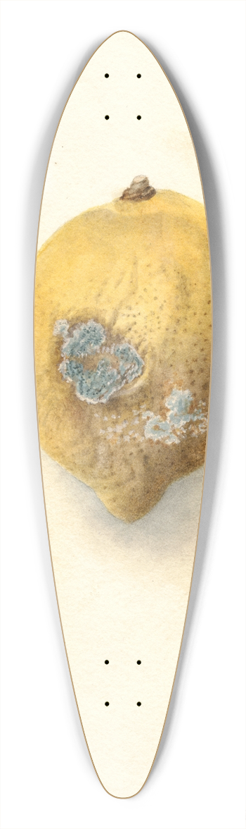 Deborah Griscom Passmore - Citrus limon 39.3 inch art pintail longboard deck