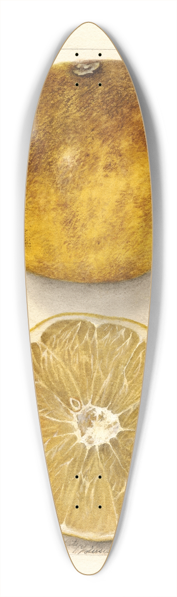 Deborah Griscom Passmore - Citrus paradisi: Scrubs 39.3 inch art pintail longboard deck