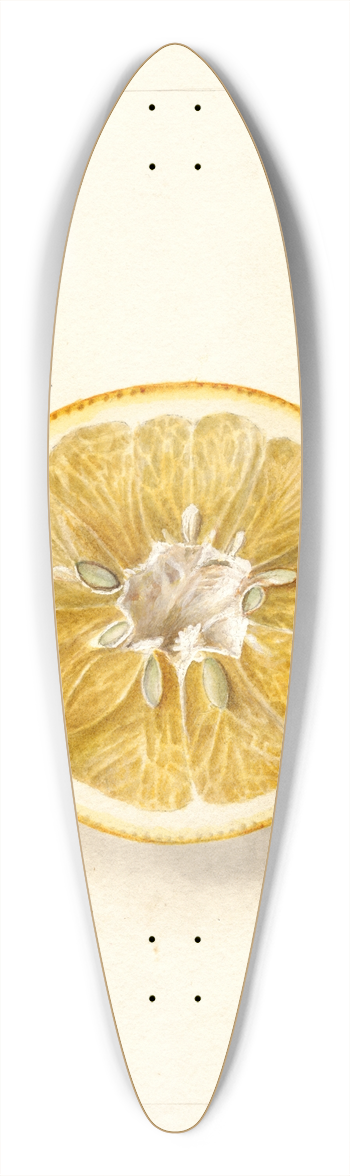 Deborah Griscom Passmore - Citrus paradisi: Thornton No 39.3 inch art pintail longboard deck
