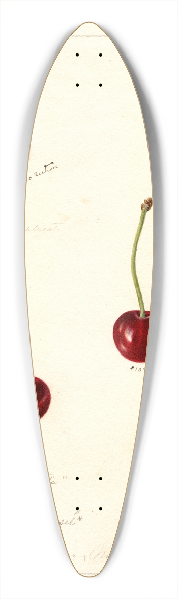 Deborah Griscom Passmore - Prunus avium 39.3 inch art pintail longboard deck