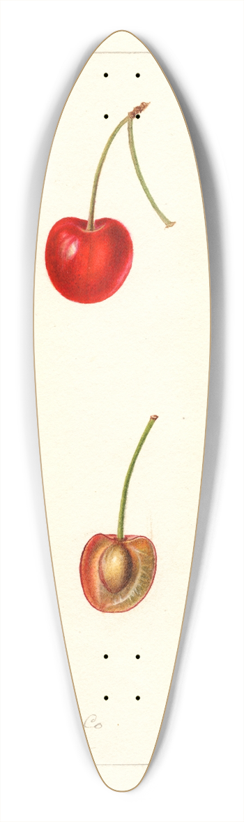 Deborah Griscom Passmore - Prunus avium: Geer 39.3 inch art pintail longboard deck