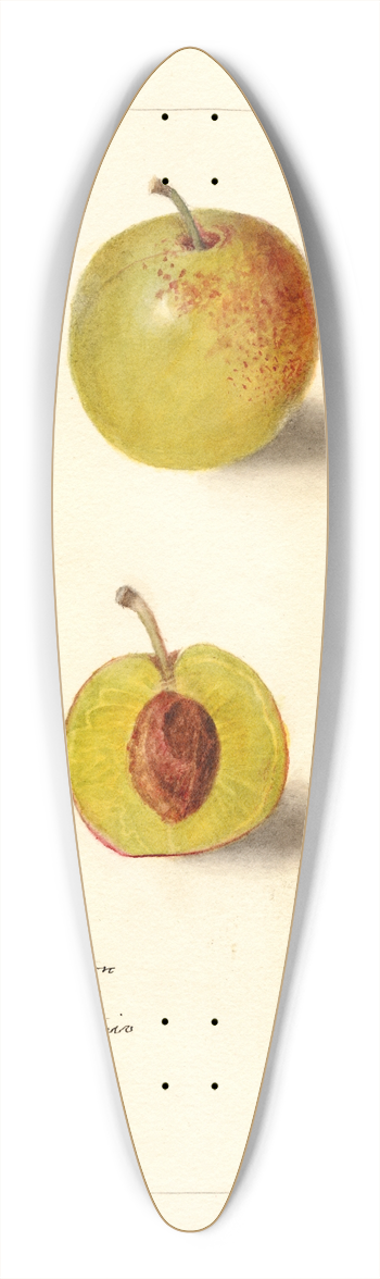 Deborah Griscom Passmore - Prunus domestica: McLaughlin 39.3 inch art pintail longboard deck