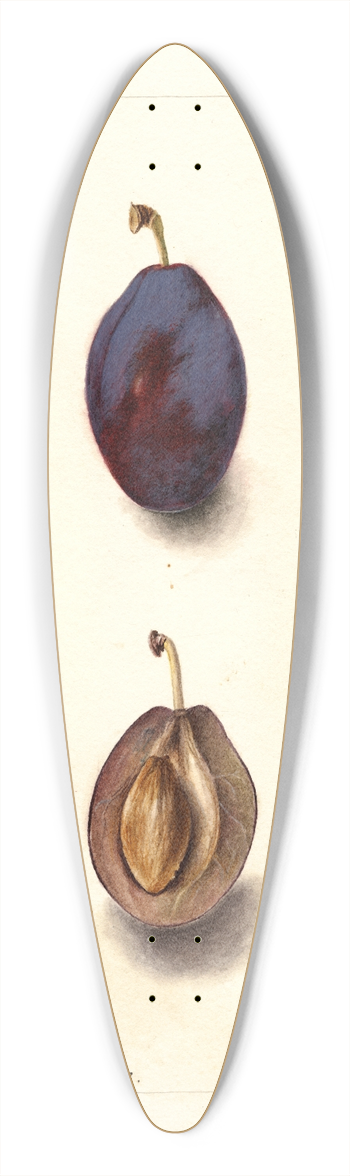 Deborah Griscom Passmore - Prunus domestica: Splendor 39.3 inch art pintail longboard deck