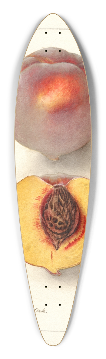 Deborah Griscom Passmore - Prunus persica: Micado 39.3 inch art pintail longboard deck