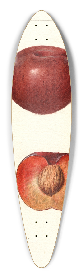 Deborah Griscom Passmore - Prunus simonii 39.3 inch art pintail longboard deck