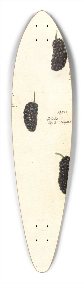 Deborah Griscom Passmore - Rubus 39.3 inch art pintail longboard deck