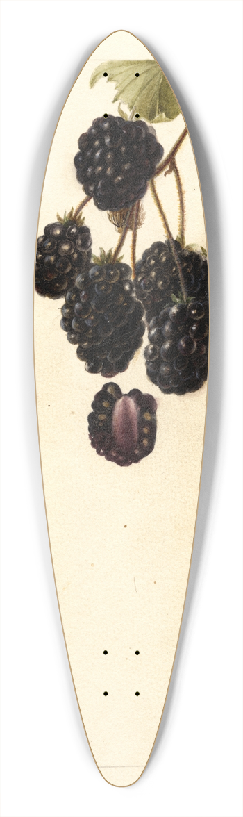 Deborah Griscom Passmore - Rubus: Lawton 39.3 inch art pintail longboard deck