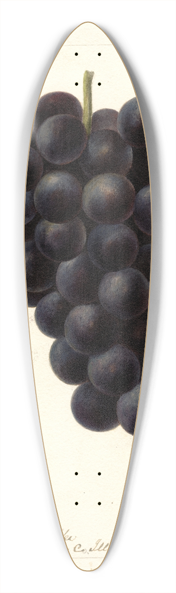 Deborah Griscom Passmore - Vitis: McPike 39.3 inch art pintail longboard deck