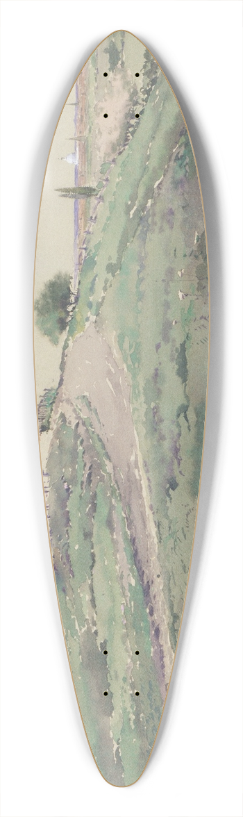 De Lancey Gill - Washington, D.C. 39.3 inch art pintail longboard deck