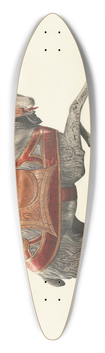 Donald Donovan - Carousel Goat 39.3 inch art pintail longboard deck