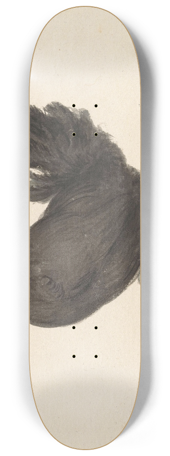 Jean Bernard - Staande zwarte kip 8.25 inch art skate deck