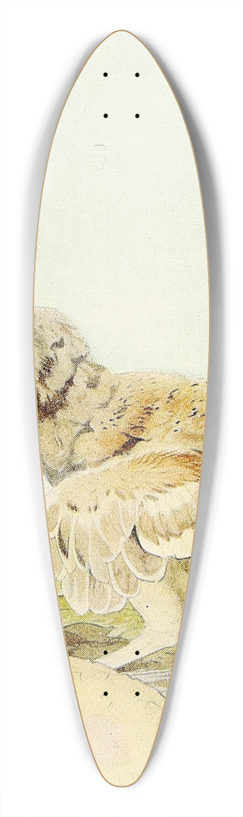 Edward Julius Detmold - The Capercailzie 39.3 inch art pintail longboard deck